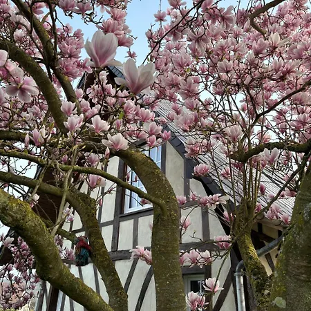 Campagne Et En Normandie - Au Calme Entre Honfleur Et Pont-audemer Conteville (Eure)